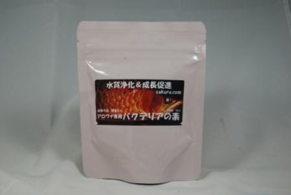 画像1: アロワナ専用バクテリアの素　50ｇ (1)